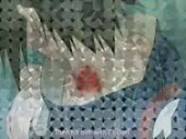 320x240