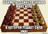 640x454
