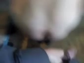 320x240