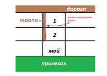 643x459