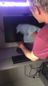 540x960