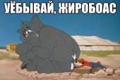 688x464