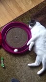 360x640