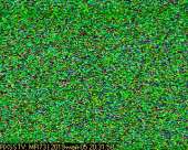 320x256