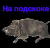 346x332