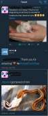 480x1146