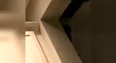 400x220
