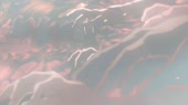 1536x864