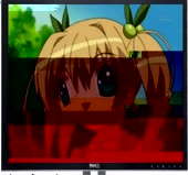 924x866