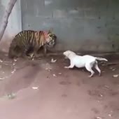 360x360