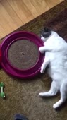 360x640