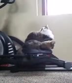 348x400