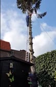 416x640
