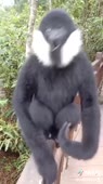 360x640
