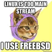 240x240