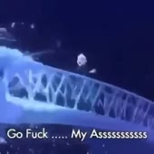 360x360