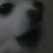 400x400
