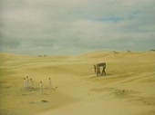 480x360