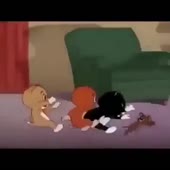 360x360
