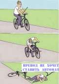 388x549