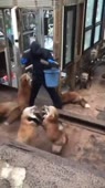 360x640