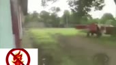 640x360