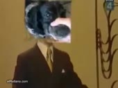 480x360