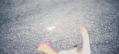 1080x498