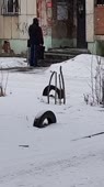406x720