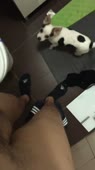 406x720