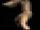 400x300