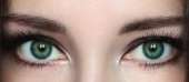 500x219