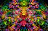 1200x780
