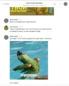 542x669