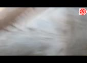 490x360