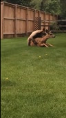 406x718