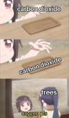 569x960