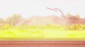 1244x700