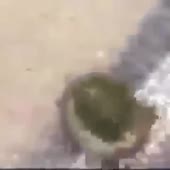 360x360