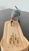 460x816