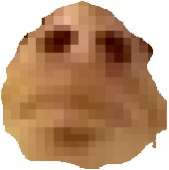 170x171