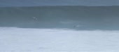 1010x444
