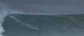 1010x444