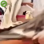 360x360