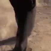 360x360