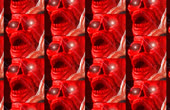 800x522