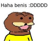 300x256