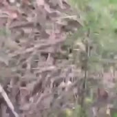 360x360
