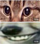 990x1080