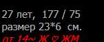 151x61